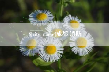 绍兴成都 消防
