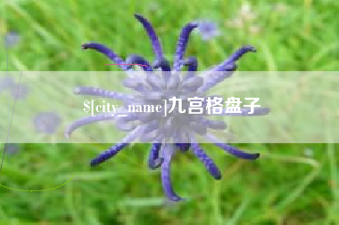 绍兴九宫格盘子