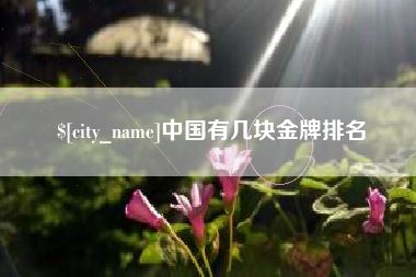 绍兴中国有几块金牌排名