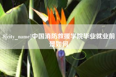绍兴中国消防救援学院毕业就业前景如何