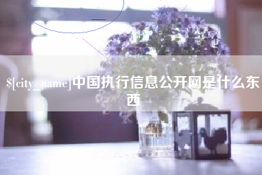 绍兴中国执行信息公开网是什么东西