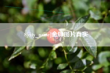 绍兴金牌图片真实