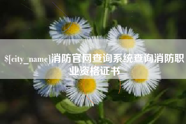 绍兴消防官网查询系统查询消防职业资格证书