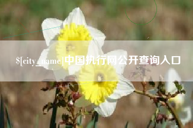 绍兴中国执行网公开查询入口