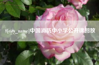 绍兴中国消防中小学公开课回放