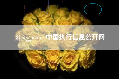 绍兴中国执行信息公开网