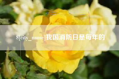 绍兴我国消防日是每年的