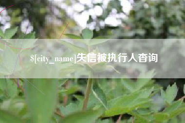 绍兴失信被执行人杳询