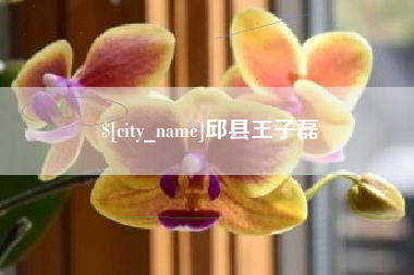绍兴邱县王子磊