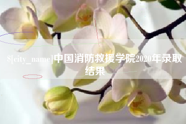 绍兴中国消防救援学院2020年录取结果