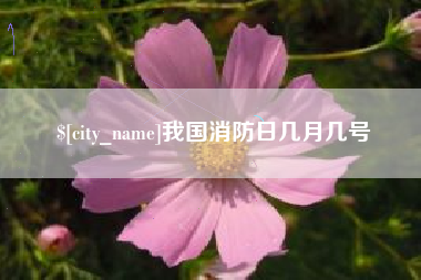 绍兴我国消防日几月几号