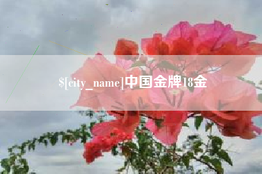 绍兴中国金牌18金