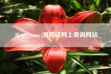 绍兴消防证网上查询网站