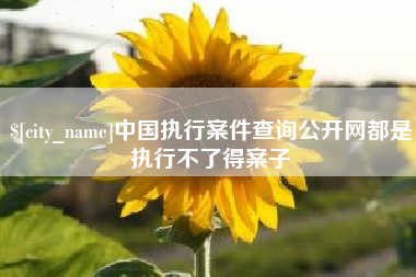 绍兴中国执行案件查询公开网都是执行不了得案子