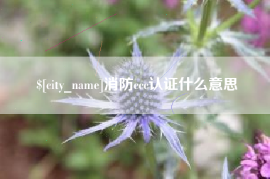 绍兴消防ccc认证什么意思
