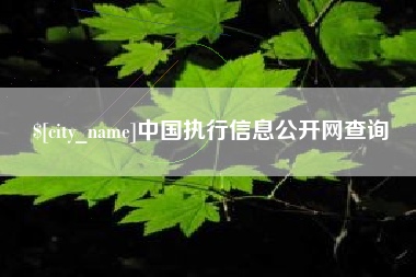 绍兴中国执行信息公开网查询