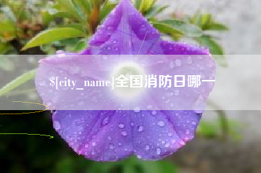 绍兴全国消防日哪一