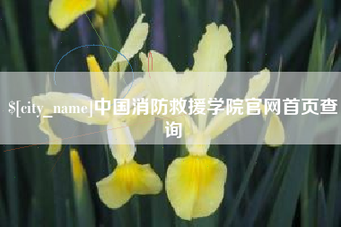 绍兴中国消防救援学院官网首页查询