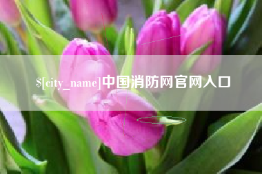 绍兴中国消防网官网入口