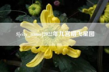 绍兴2022年九宫格飞星图