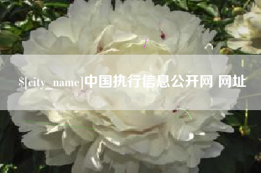 绍兴中国执行信息公开网 网址