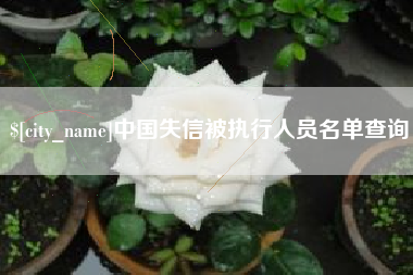 绍兴中国失信被执行人员名单查询