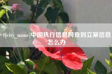 绍兴中国执行信息网查到立案信息怎么办