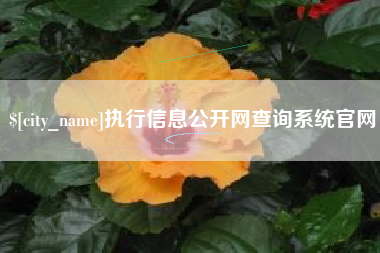 绍兴执行信息公开网查询系统官网