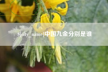 绍兴中国九金分别是谁