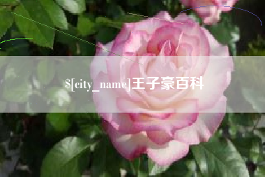 绍兴王子豪百科