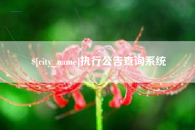 绍兴执行公告查询系统