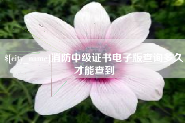 绍兴消防中级证书电子版查询多久才能查到