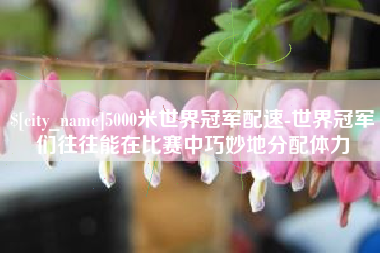 绍兴5000米世界冠军配速-世界冠军们往往能在比赛中巧妙地分配体力