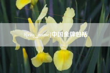 绍兴中国金牌包括
