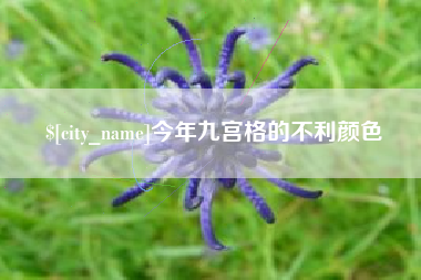 绍兴今年九宫格的不利颜色