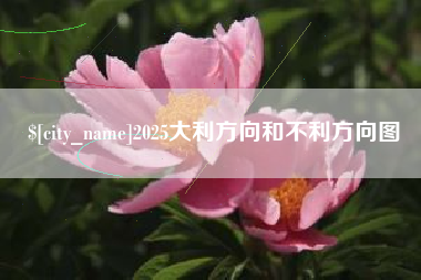 绍兴2025大利方向和不利方向图
