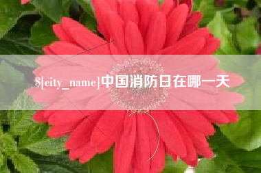 绍兴中国消防日在哪一天