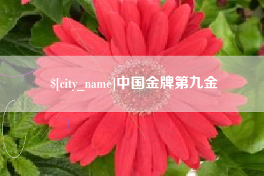 绍兴中国金牌第九金