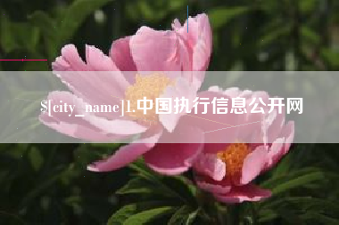 绍兴1.中国执行信息公开网