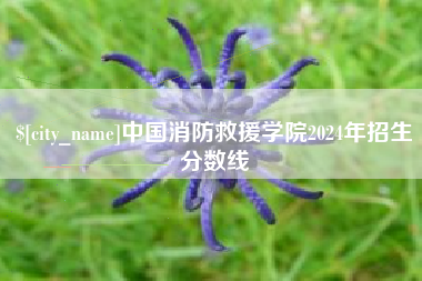 绍兴中国消防救援学院2024年招生分数线
