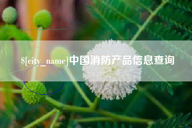 绍兴中国消防产品信息查询