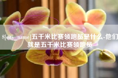 绍兴五千米比赛领跑员是什么-他们就是五千米比赛领跑员