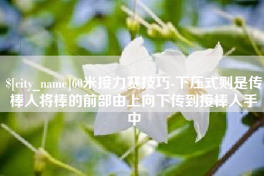 绍兴60米接力赛技巧-下压式则是传棒人将棒的前部由上向下传到接棒人手中