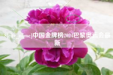 绍兴中国金牌榜2024巴黎奥运会最新