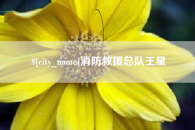 绍兴消防救援总队王星