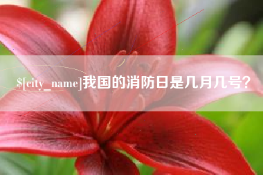 绍兴我国的消防日是几月几号？