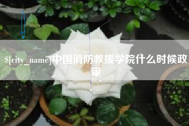 绍兴中国消防救援学院什么时候政审