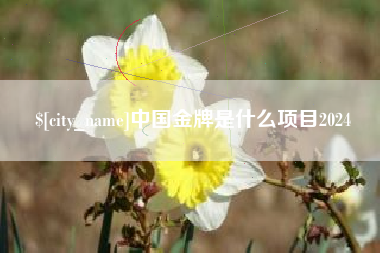 绍兴中国金牌是什么项目2024