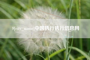 绍兴中国执行执行信息网