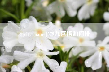 绍兴579九宫格如何排